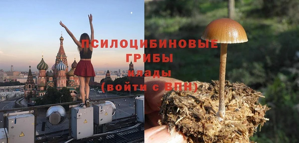ГАЛЛЮЦИНОГЕННЫЕ ГРИБЫ Алексин
